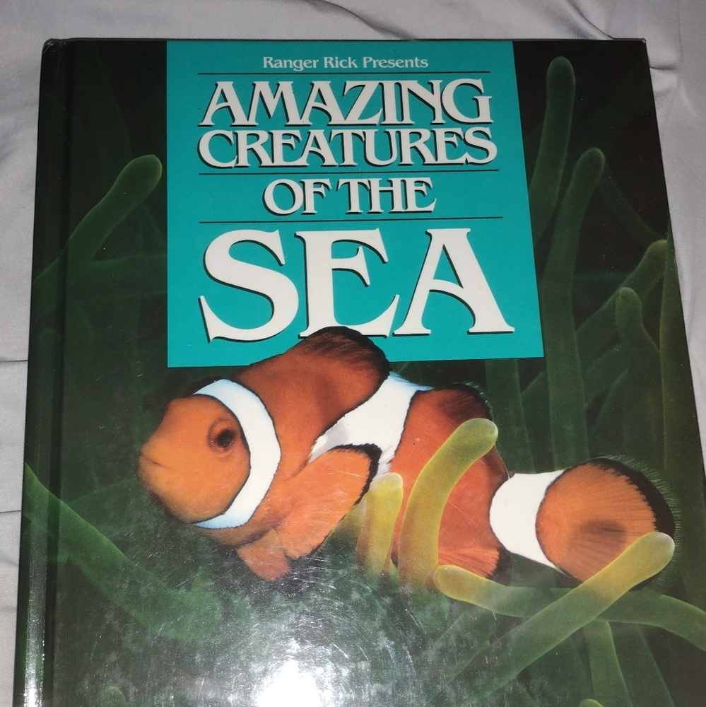 amazing sea creatures
